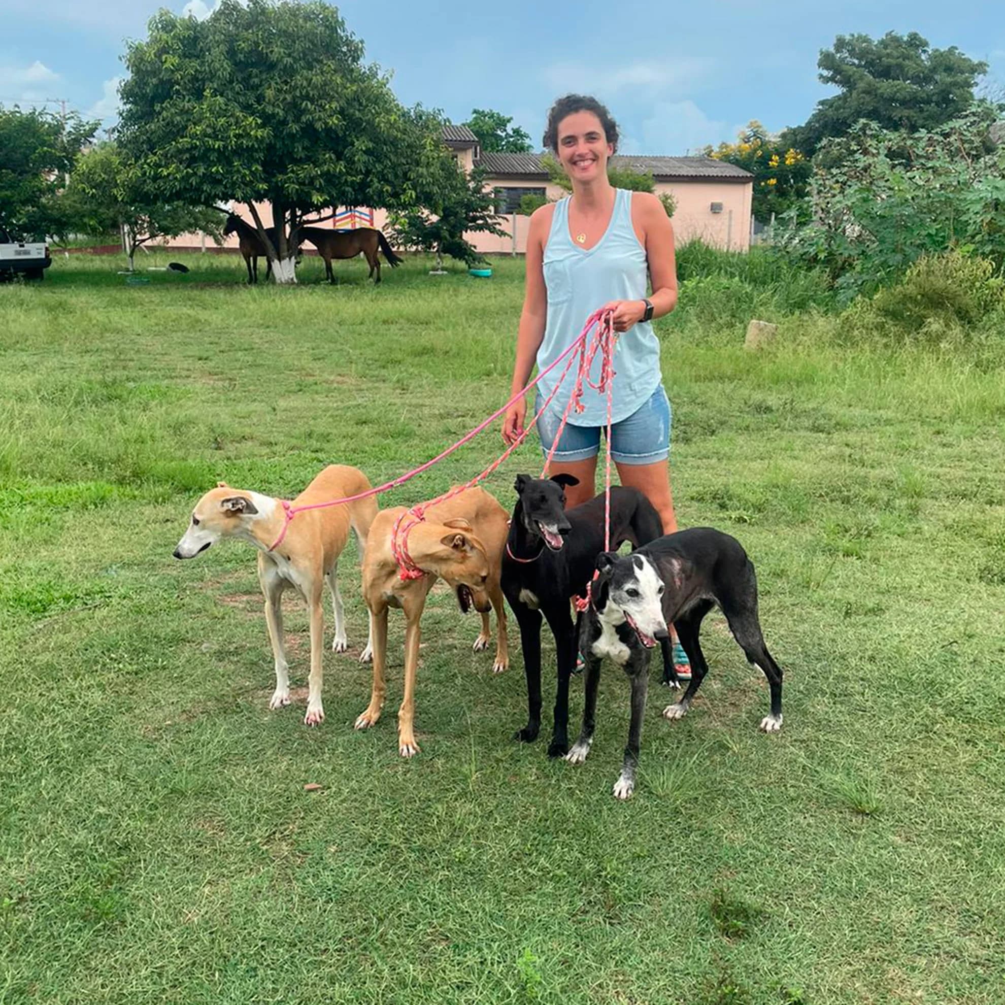 Voluntária da Alma de Galgo com cães resgatados